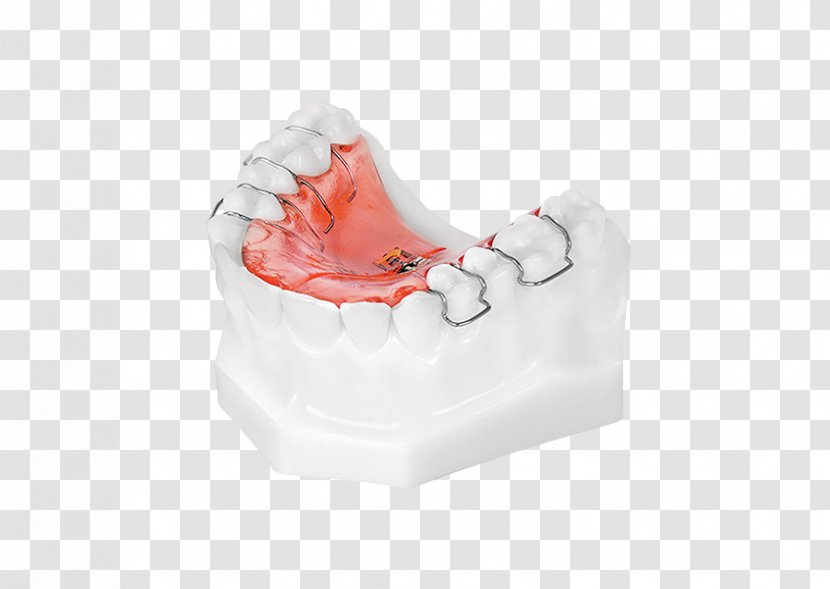 Tooth Health - Design Transparent PNG