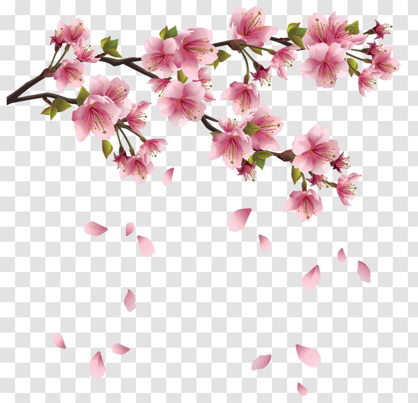 Cherry Blossom Flower Clip Art - Peach Transparent PNG