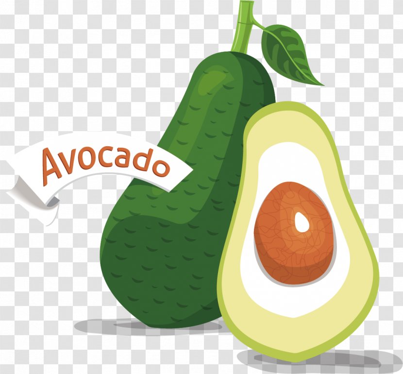 Avocado Vegetable Food Euclidean Vector - Diet - Green Vegetables Material Transparent PNG