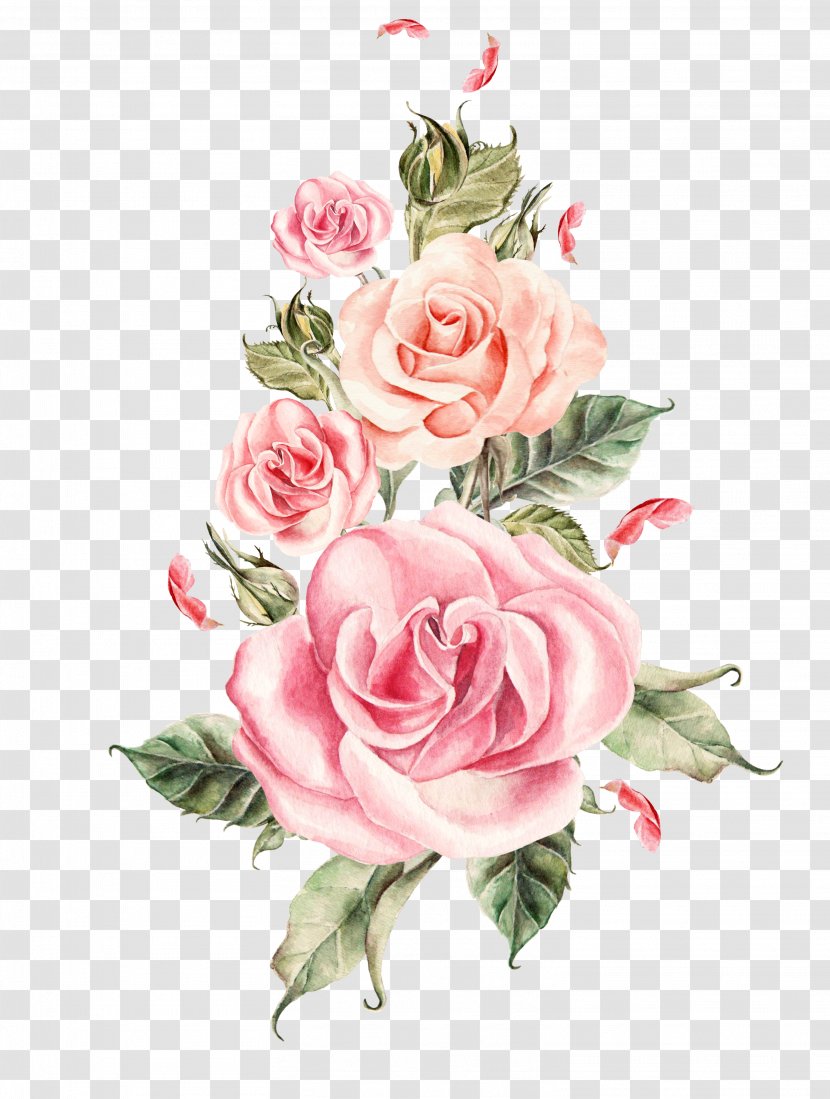 Wedding Rose Flower - Pink - Hand-painted Roses Bouquet Transparent PNG