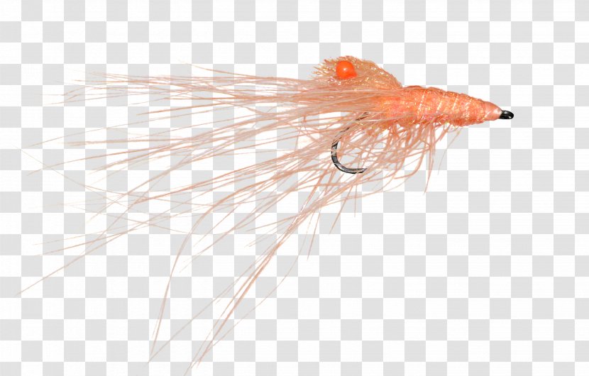 Artificial Fly Fish Orange S.A. - Tail - Insect Transparent PNG