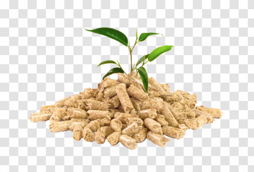 Pellet Fuel Biomass Woodchips Mill - Manufacturing - Wood Transparent PNG