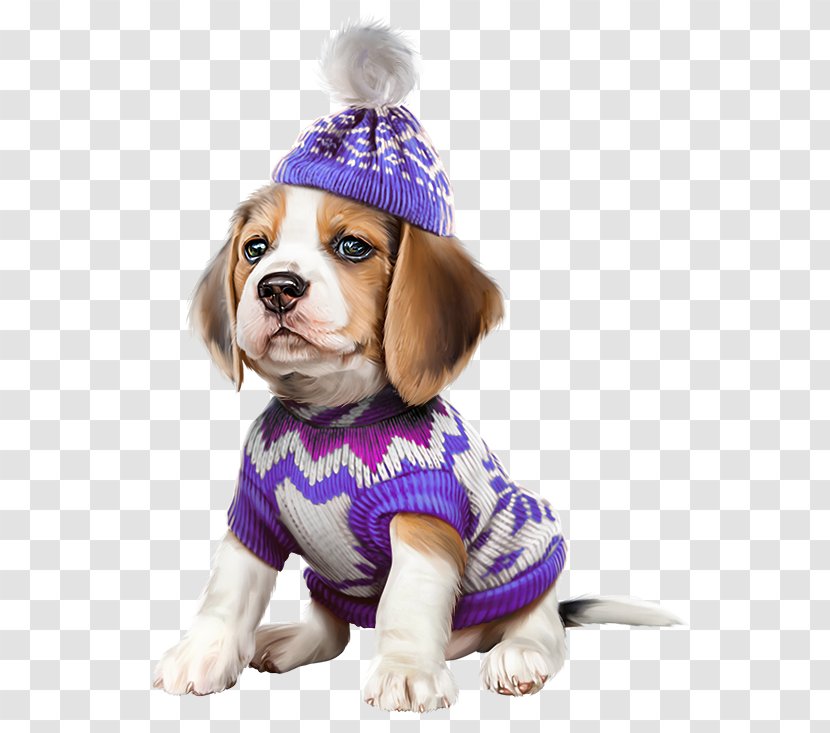 French Bulldog Boston Terrier Beagle Cat - Companion Dog Transparent PNG