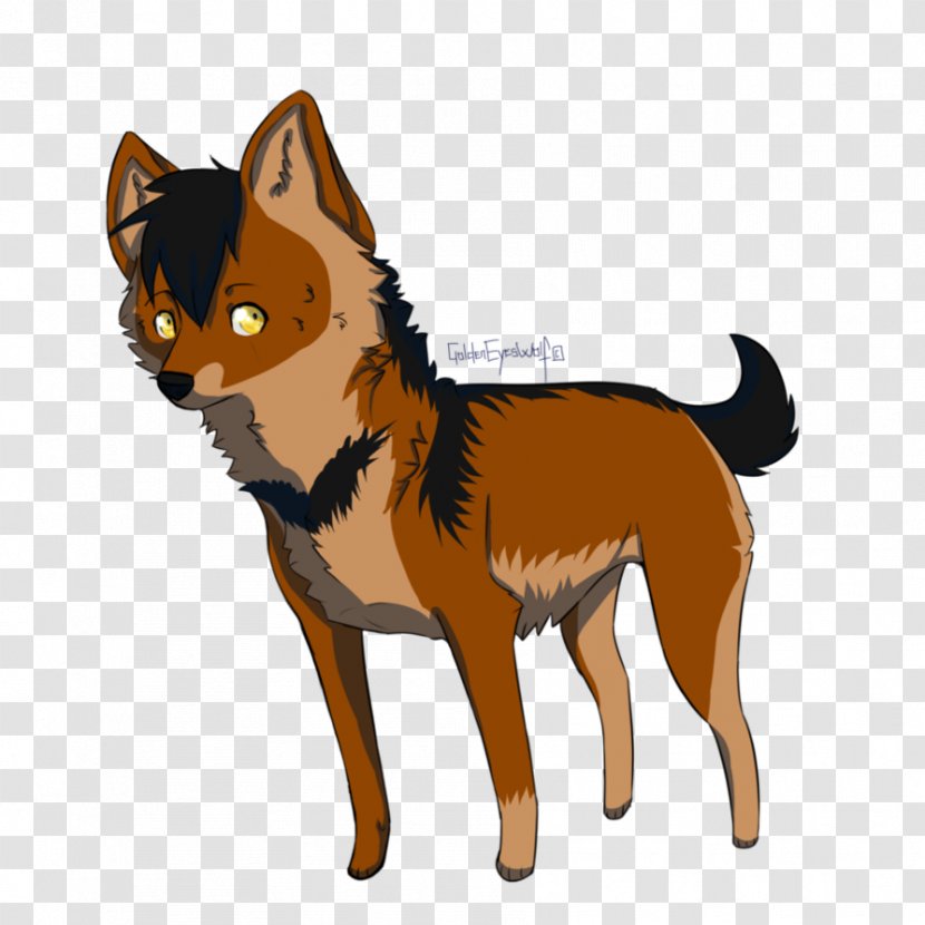 Finnish Spitz Whiskers Puppy Dog Breed Adoption - Cat Like Mammal Transparent PNG