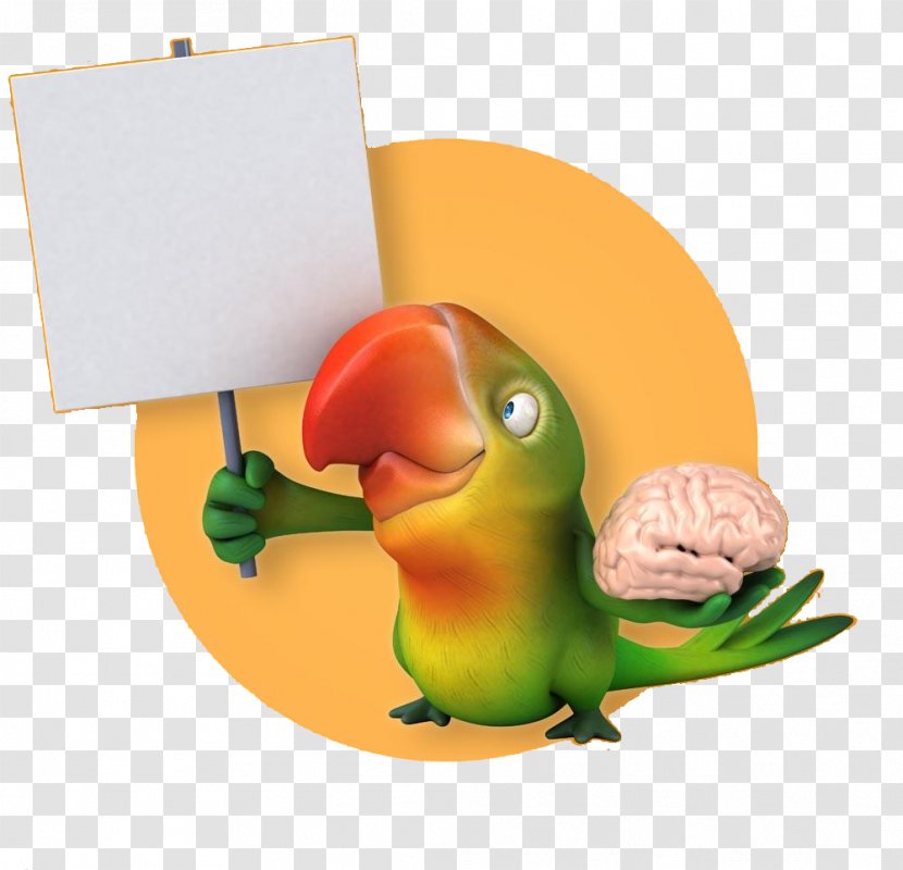 Lovebird Parrot Illustration - Photography - Take The Board Of Parrots Transparent PNG