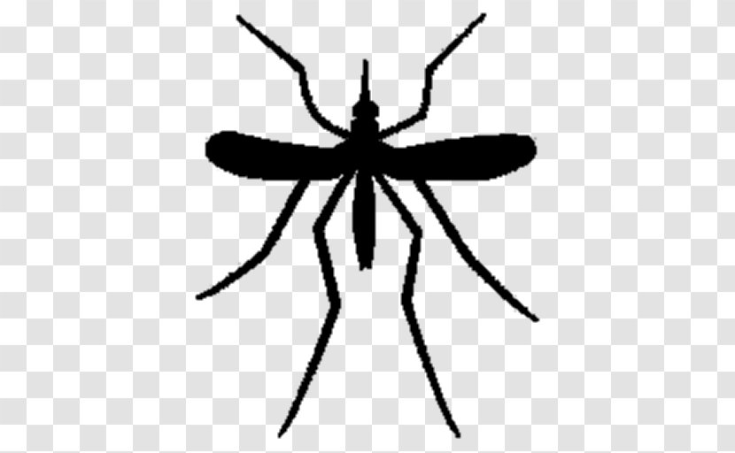 Mosquito Pest Control Fly Rodent - Organism Transparent PNG