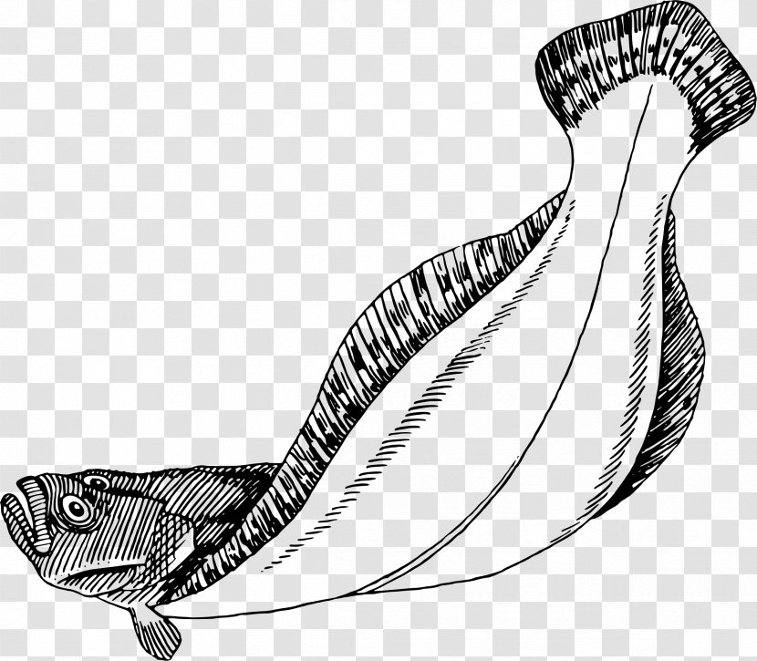 Flatfish Flounder Drawing Clip Art - Shoe - Fish Transparent PNG