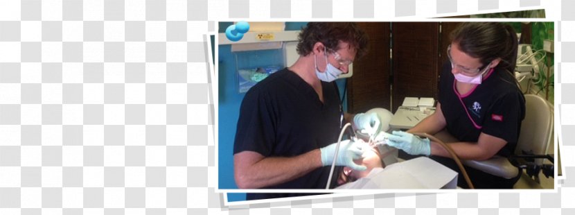 Mark Stephens DMD Cosmetic Dentistry Bridge Crown - Tree - Heart Transparent PNG