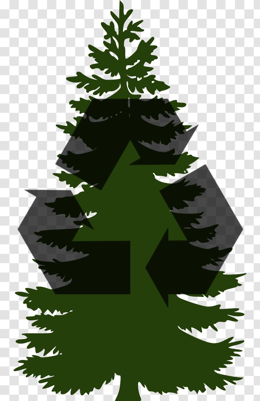 Pine Tree Clip Art - Christmas Ornament Transparent PNG