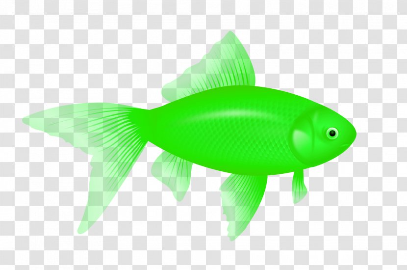 Fish Icon Computer File - Fauna - Green Image Transparent PNG