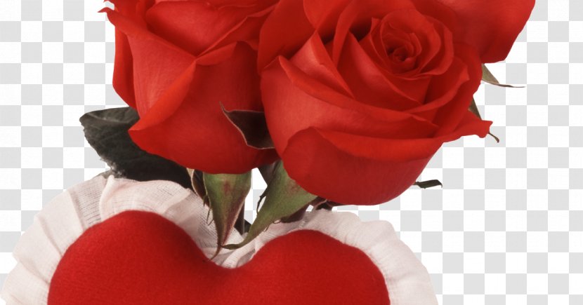 Valentine's Day Rose Romance Love Flower - Friendship Transparent PNG