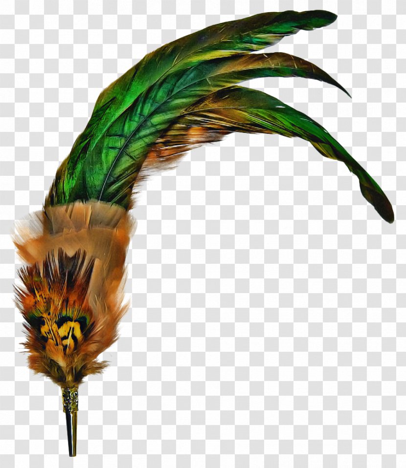 Peacock - Feather - Tail Costume Accessory Transparent PNG