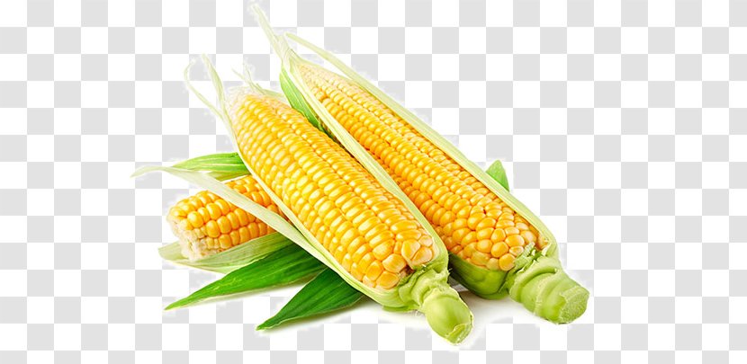 Genetically Modified Food Organism Genetic Engineering Genetics - Vegetable - Corn Cob Transparent PNG