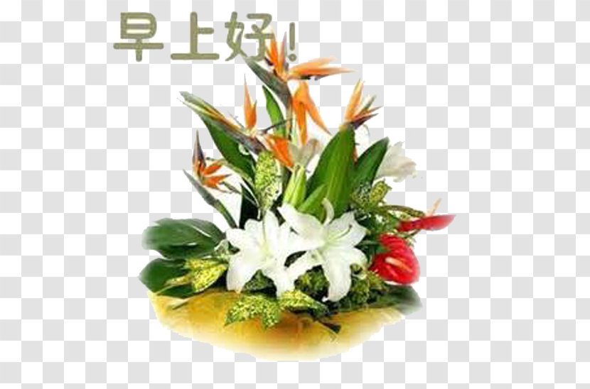 Morning Greeting Tencent QQ Night WeChat - Ikebana - Lily Open Transparent PNG