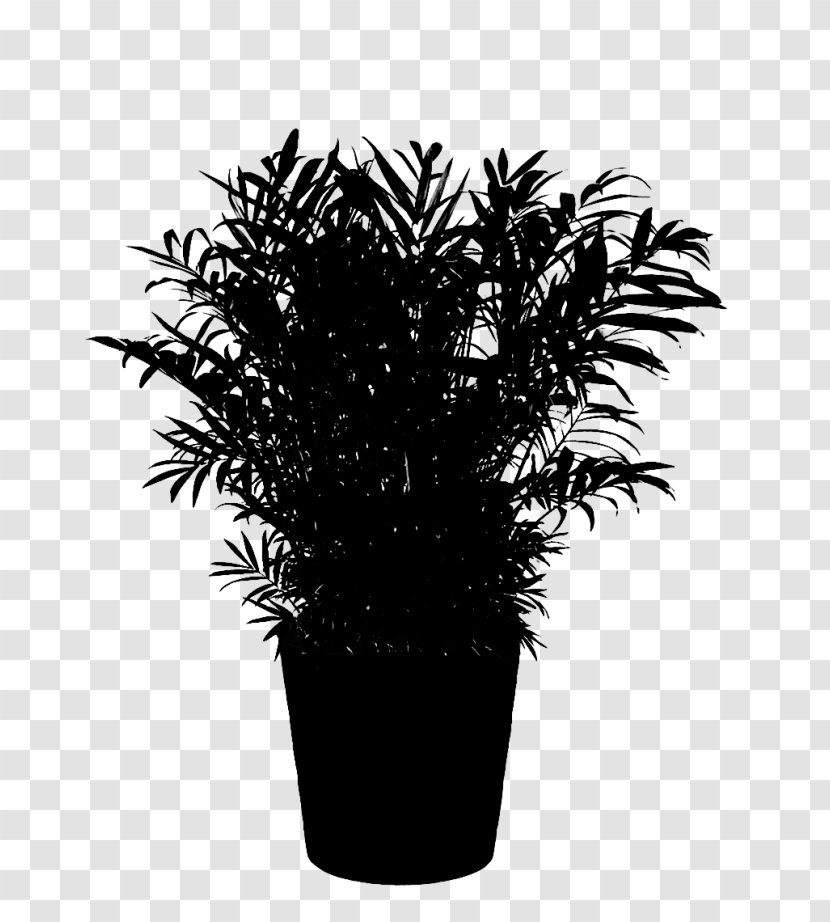 Palm Trees Black & White - M - Flowerpot Houseplant Transparent PNG