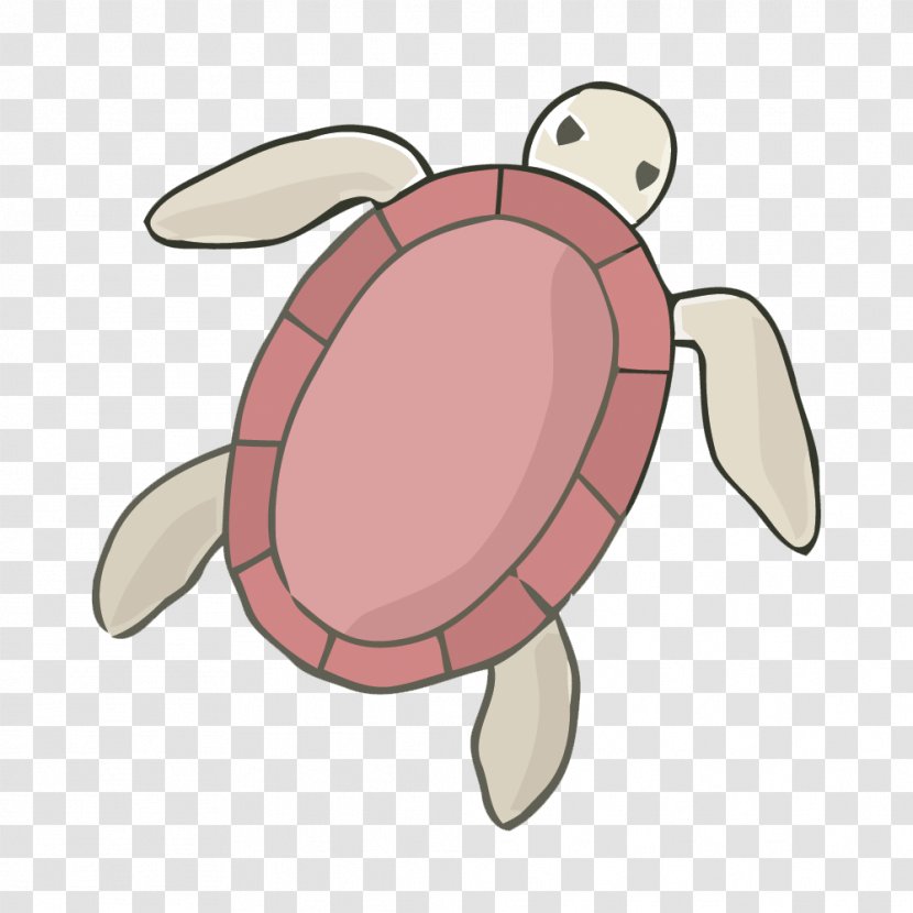 Sea Turtle Tortoise - Cartoon - Painted Vector Material Transparent PNG