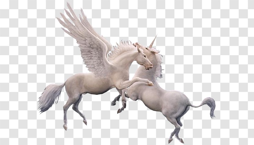 Winged Unicorn Pegasus Clip Art - De Transparent PNG