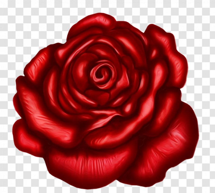 Black Pink Rose - Red - Perennial Plant Animation Transparent PNG