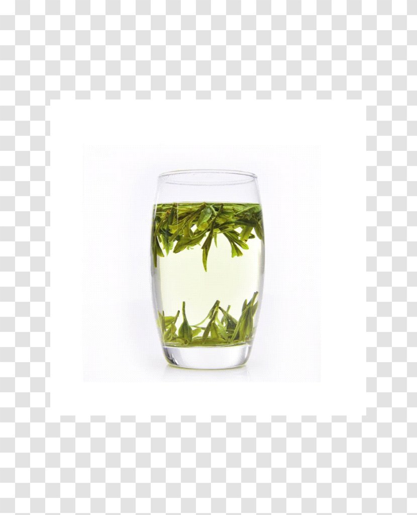 Green Tea Huangshan Maofeng Highball Glass - Blood Pressure Transparent PNG