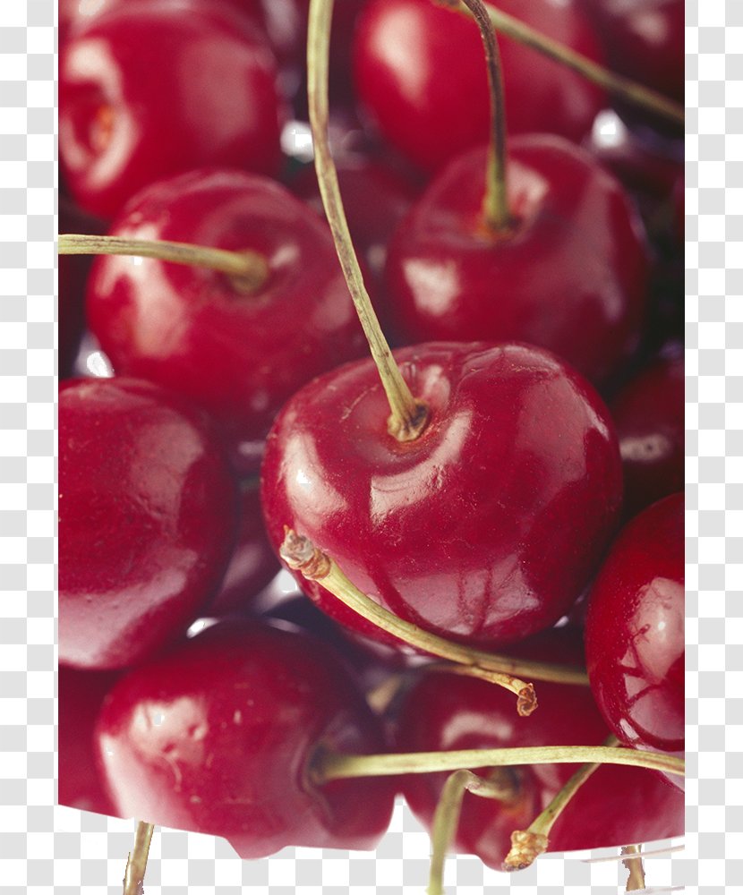Cherry Auglis - Crimson Transparent PNG