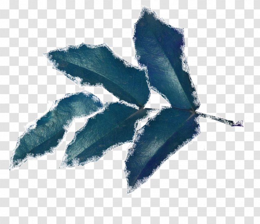 Winter Insect Quotation Clip Art - Snow Blue Foliage Transparent PNG