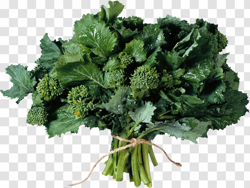 Herb Parsley Salad Clip Art - Broccoli Transparent PNG