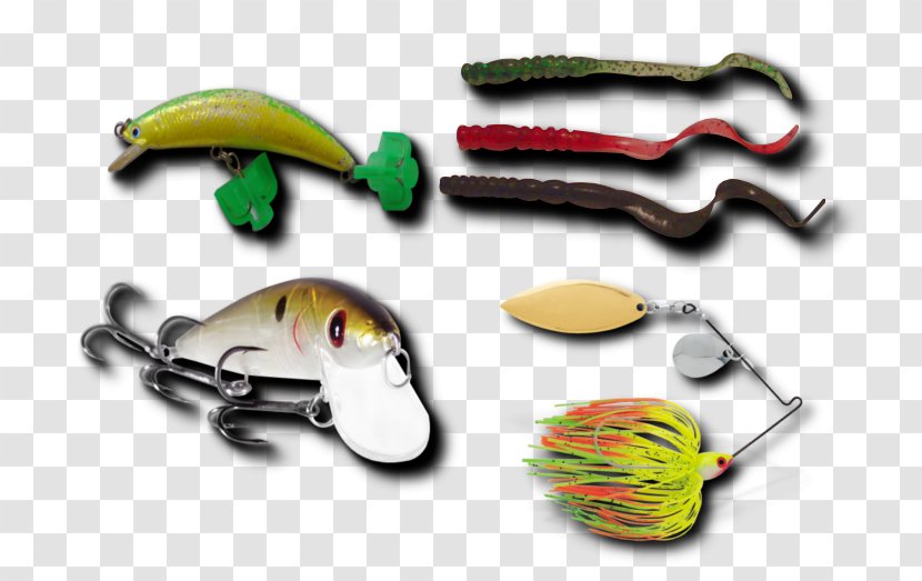 Spoon Lure Spinnerbait Organism Product Design - Bait - Peixe Robalo Transparent PNG