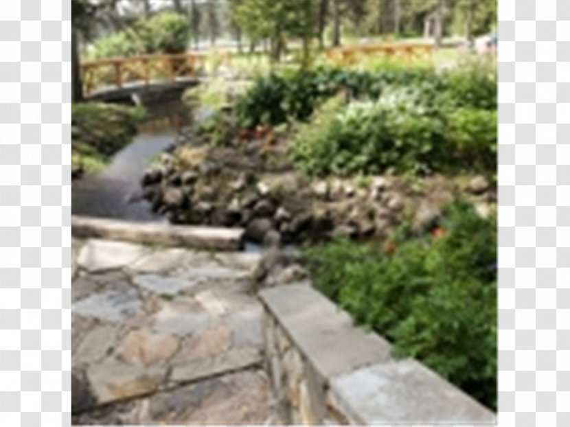 Water Resources Stone Wall Watercourse Walkway - Flagstone Transparent PNG
