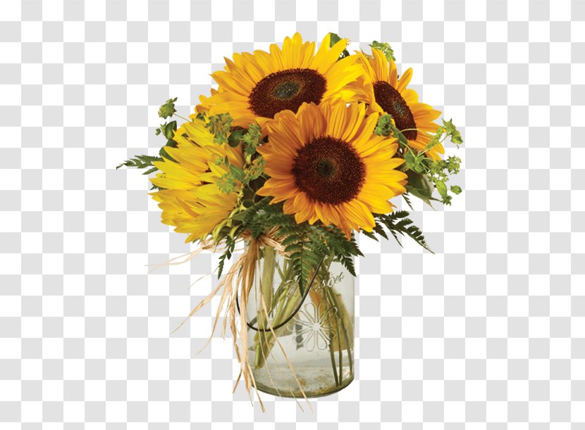 Common Sunflower Floral Design Cut Flowers Transvaal Daisy - Yellow - Flower Transparent PNG