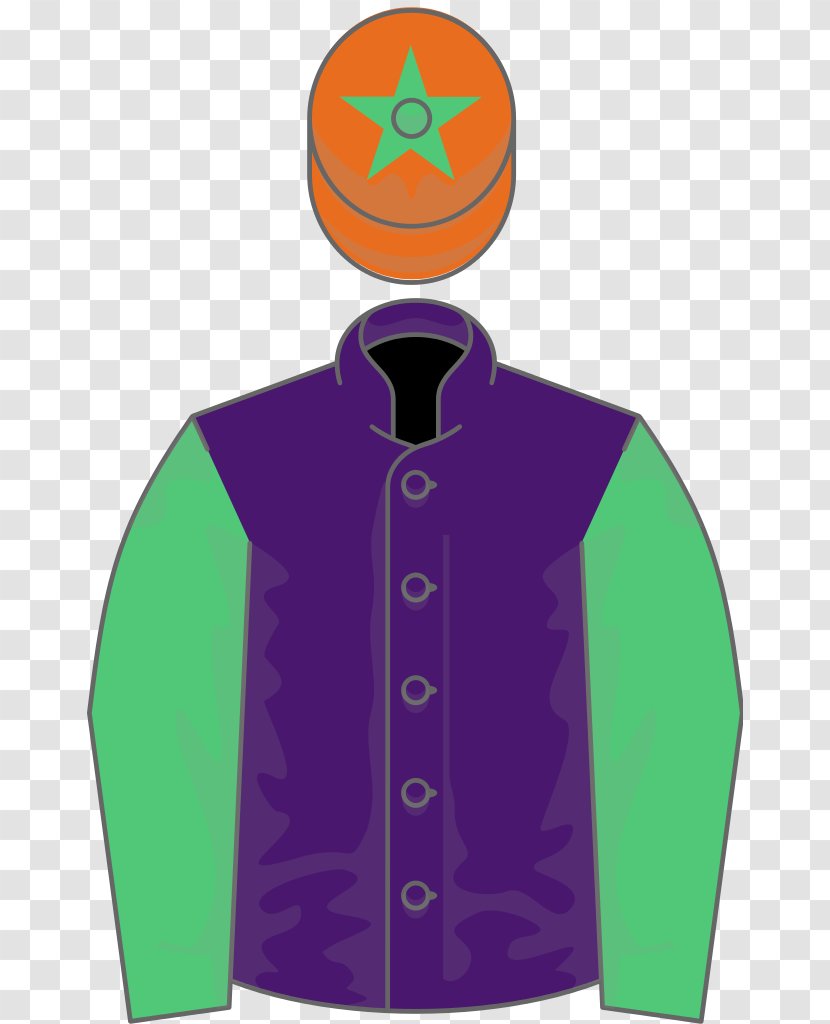 Ascot Racecourse Gold Cup Thoroughbred Newcastle Horse Racing - Filly - Arthur Haines Transparent PNG