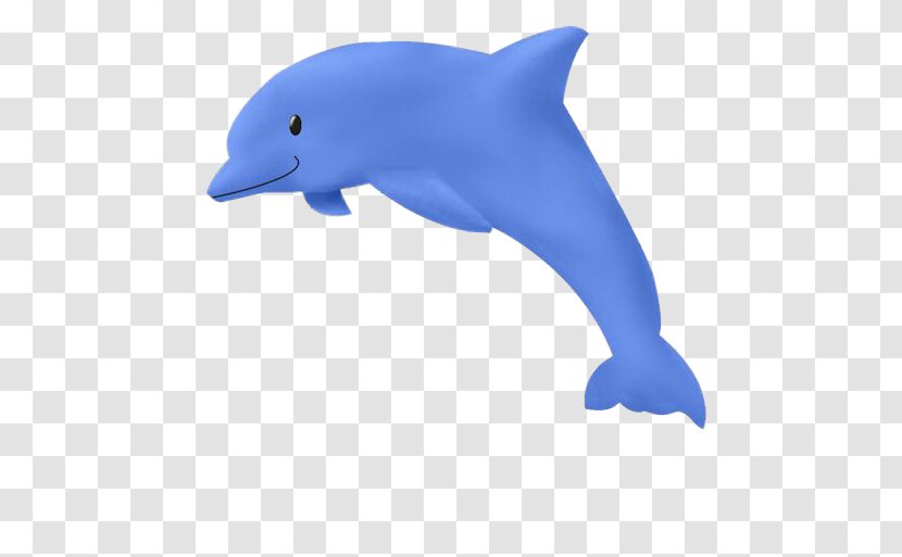 Common Bottlenose Dolphin Drawing Clip Art - Porpoise - Blue Transparent PNG
