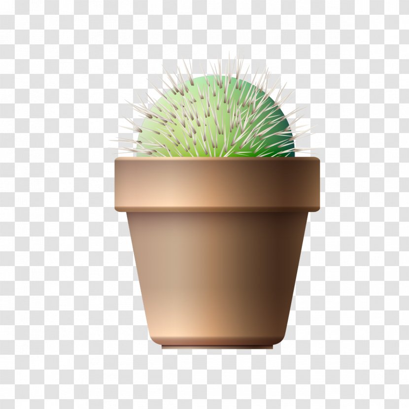 Cactaceae Flowerpot Euclidean Vector Plant - Bonsai - Potted Cactus Transparent PNG