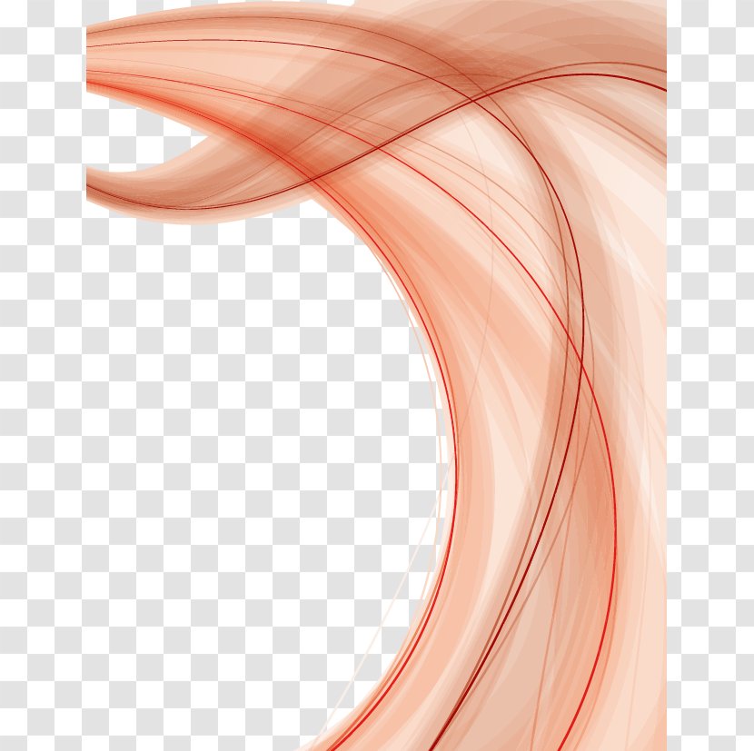 Curve Euclidean Vector Line - Pattern - Abstract Geometric Lines Transparent PNG