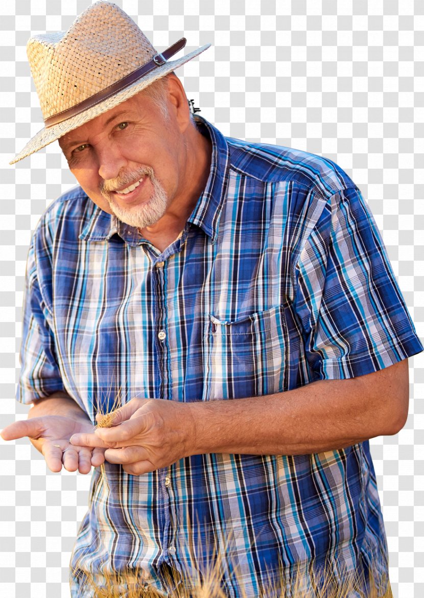 Wheat Stock Photography - Dress Shirt Transparent PNG