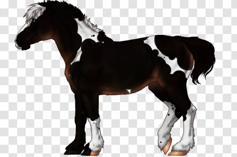Stallion Thoroughbred Mare Dutch Warmblood Mustang - Livestock Transparent PNG
