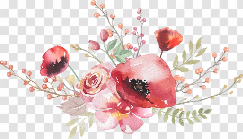 Boho-chic Watercolor Painting Royalty-free Stock Photography - Flowering Plant - Flowers Transparent PNG