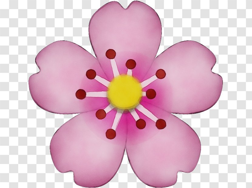 Pink Petal Flower Violet Plant - Wildflower Transparent PNG