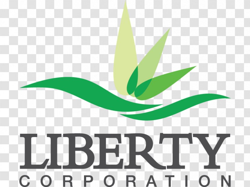 Liberty! The American Revolution Liberty County, Georgia Martinsville, Virginia Politics Of Civil Liberties Union Company - Logo - Brand Transparent PNG