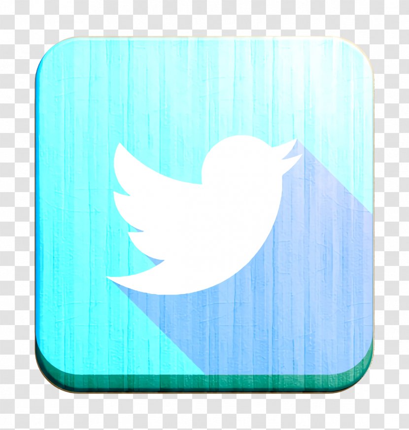 Social Media Icon Twitter - Logo - Rectangle Transparent PNG