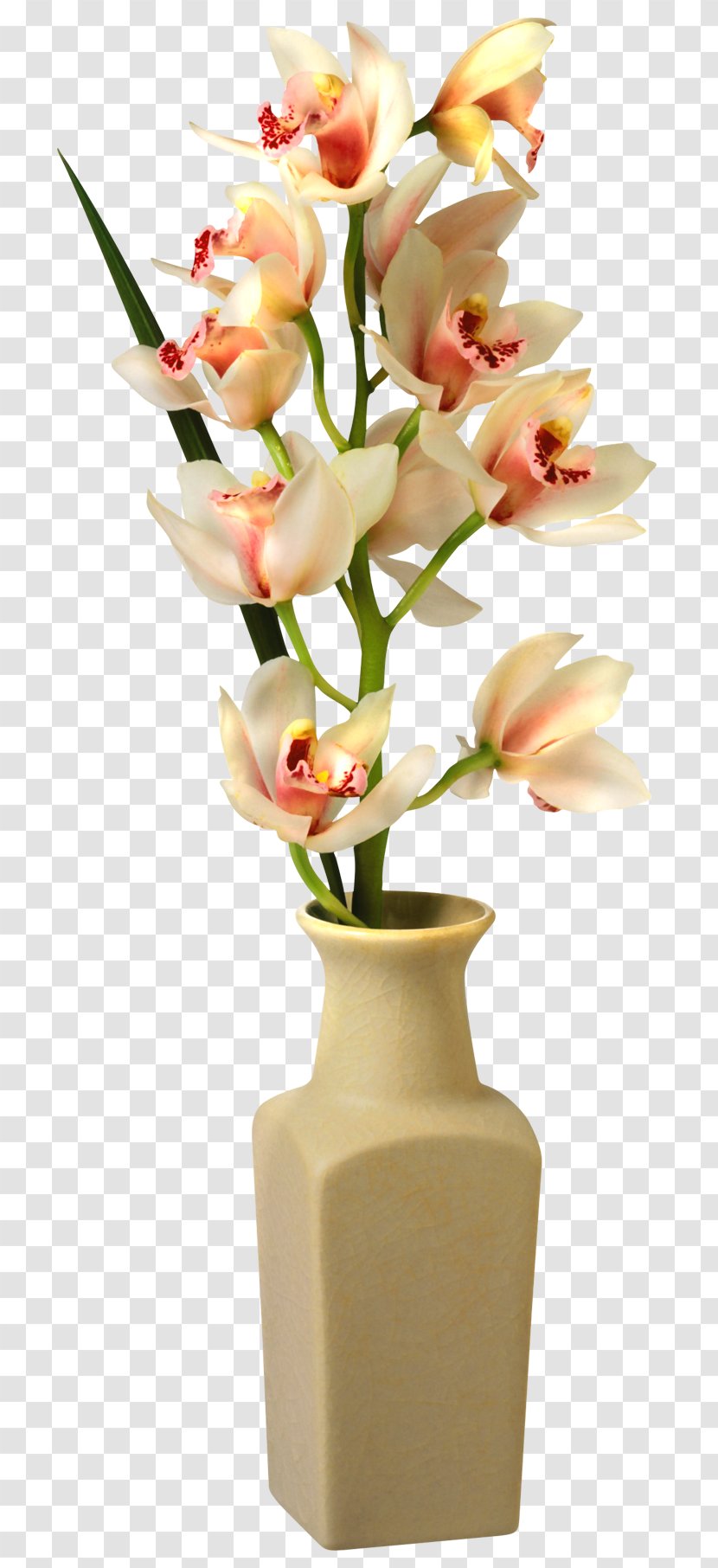 Vase Flower Clip Art - Orchid In Image Transparent PNG