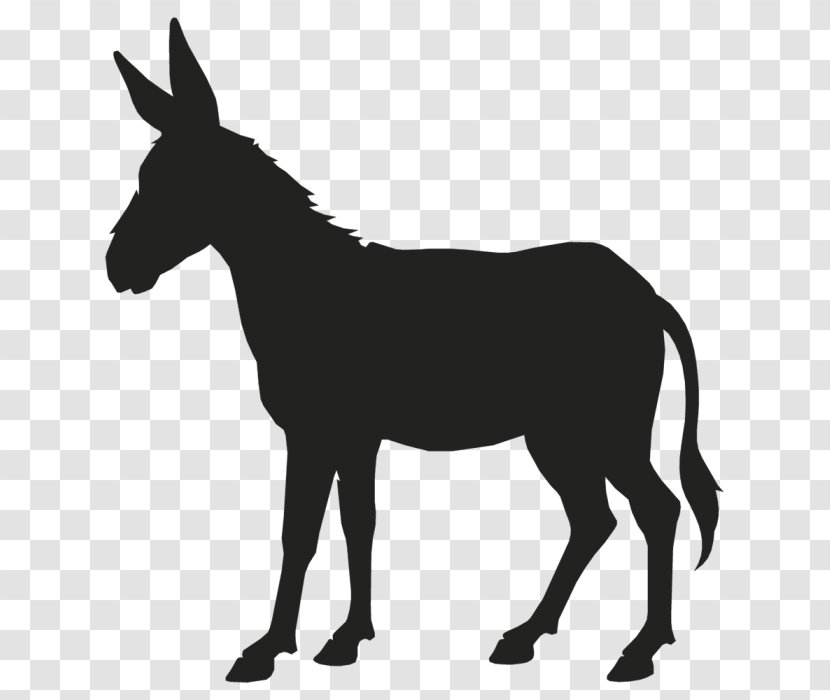 Donkey Mule Vector Graphics Clip Art - Horse - Argent Outline Transparent PNG