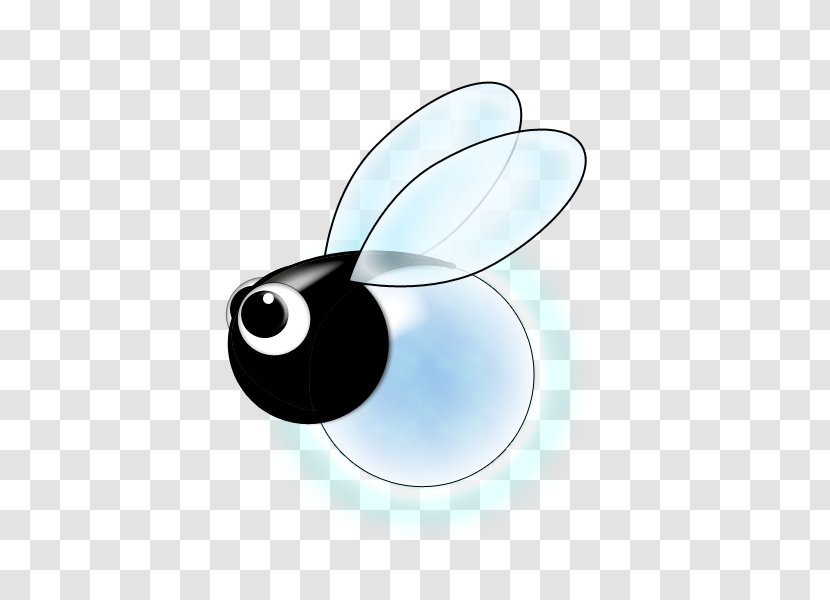 Insect Wallpaper - Pollinator - Firefly Clipart Transparent PNG