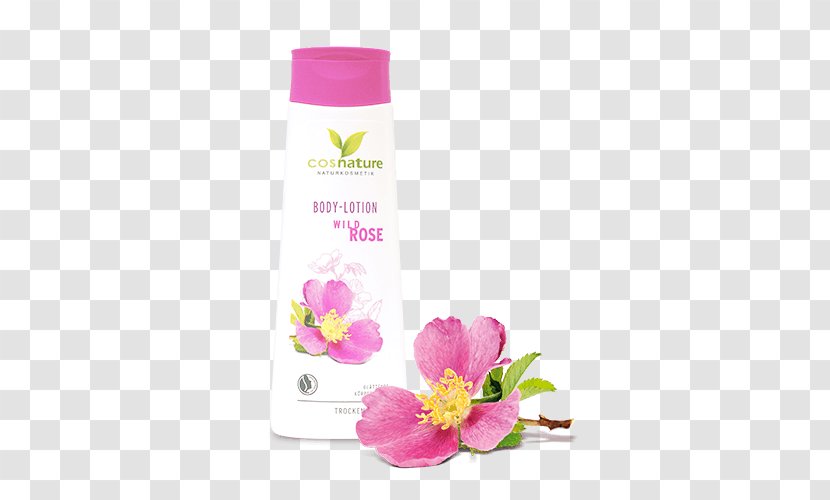 Lotion Cosmetics Shower Gel Rose Nivea - Petal Transparent PNG
