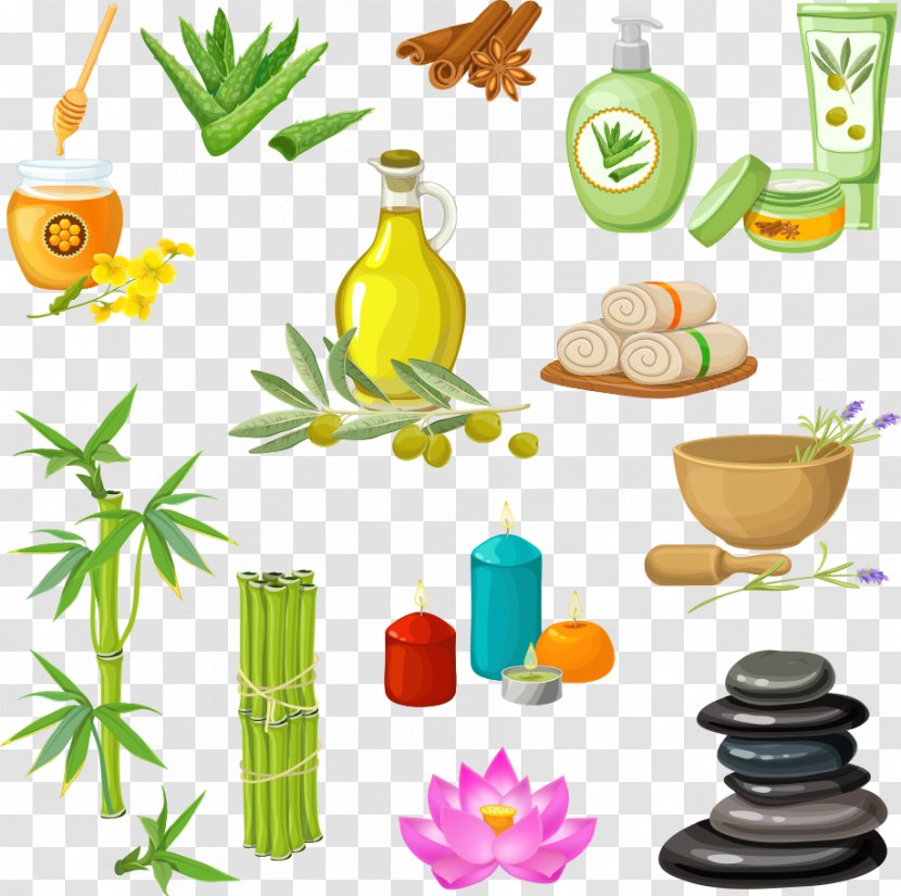 Olive Oil Spa - Floral Design - Vector Supplies And SPA Transparent PNG