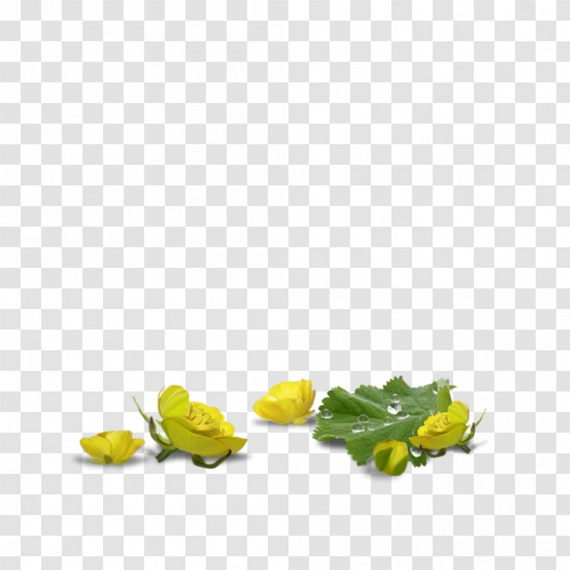 Graphic Animation Good - Spring Transparent PNG