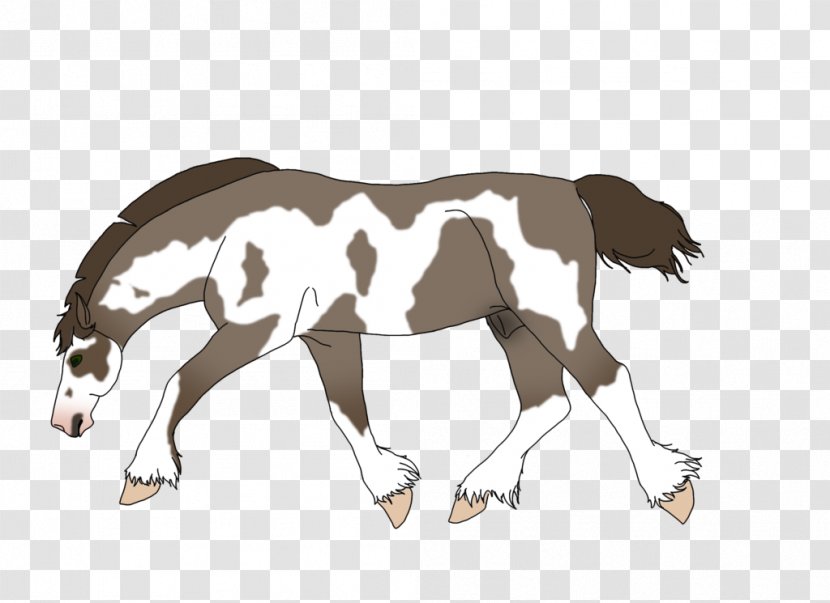 Mustang Foal Stallion Donkey Halter - Pack Animal - Ace Of Spades Art Transparent PNG