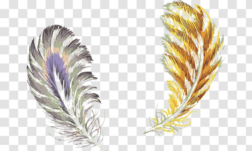 Bird Feather Color - Pixel - Zijin Feathers Transparent PNG