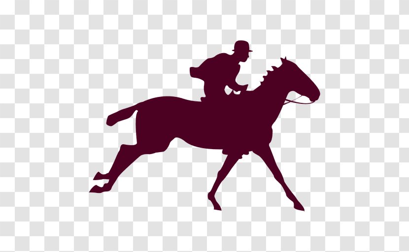 Horse Equestrian Silhouette - Riding Transparent PNG