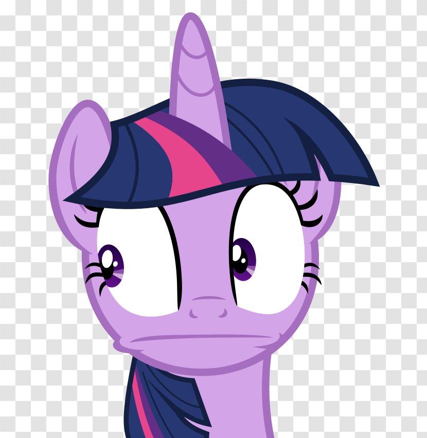 Twilight Sparkle Pony Princess Celestia Cadance Applejack - Frame Transparent PNG