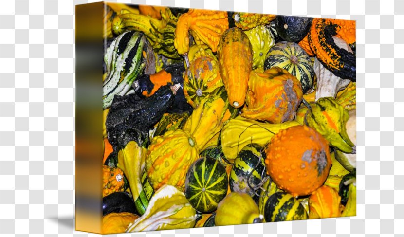 Pumpkin Gourd Vegetarian Cuisine Calabaza Winter Squash - Harvest Time Transparent PNG